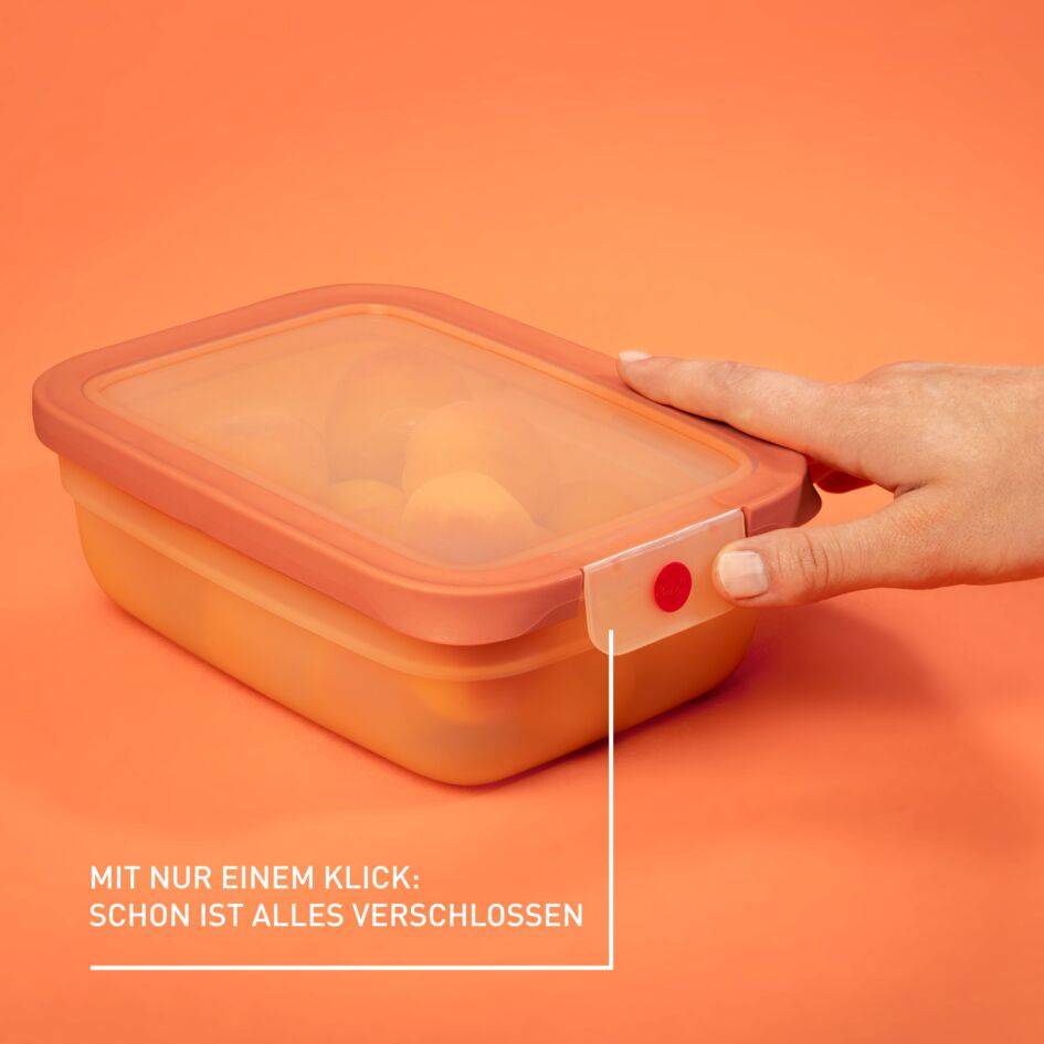 oneClick Frischhaltedosen 3-teiliges Space Saving Set (0,5 / 1,2 / 2,3 L) N12303