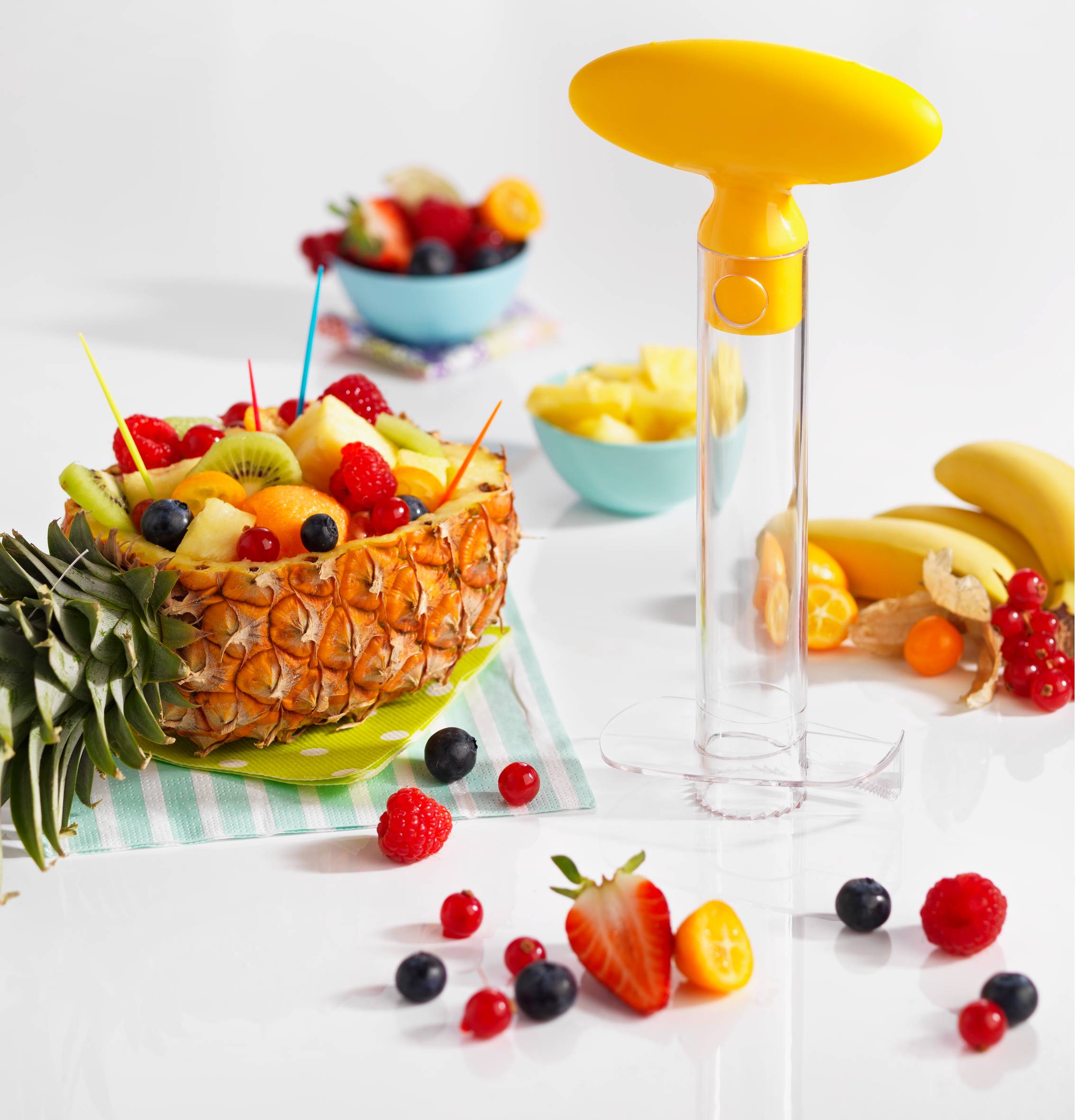 FRESH KITCHEN GADGETS BRADSHAW