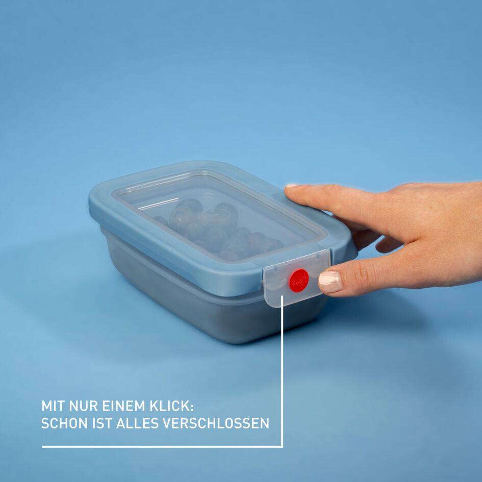oneClick Frischhaltedosen 3-teiliges Set (3x 0,5 L) N12305