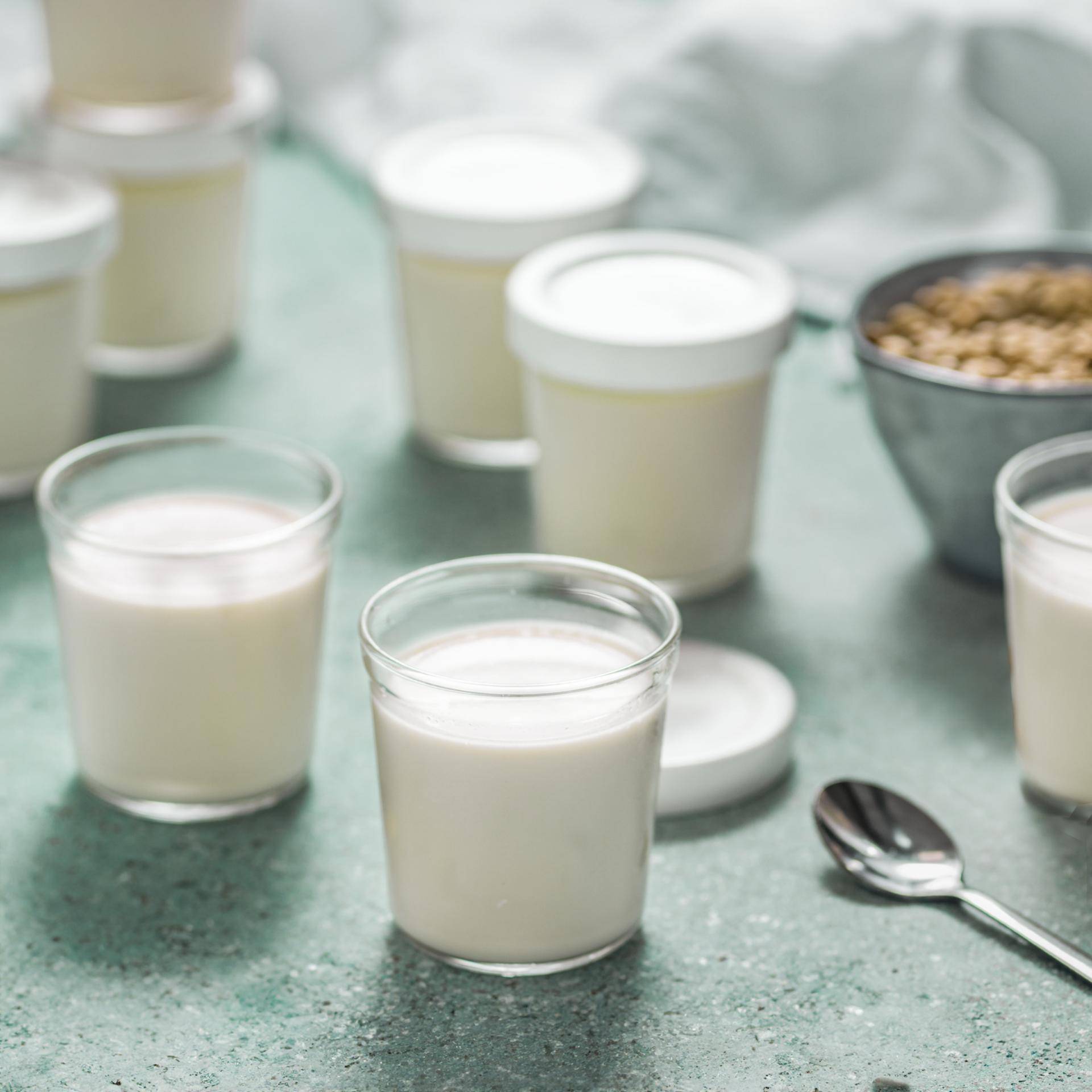 Naturjoghurt - Rezepte | Tefal