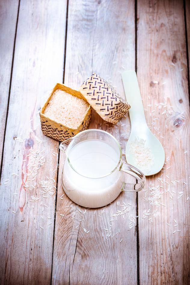 Reismilch - Rezepte Perfectmix + | Tefal