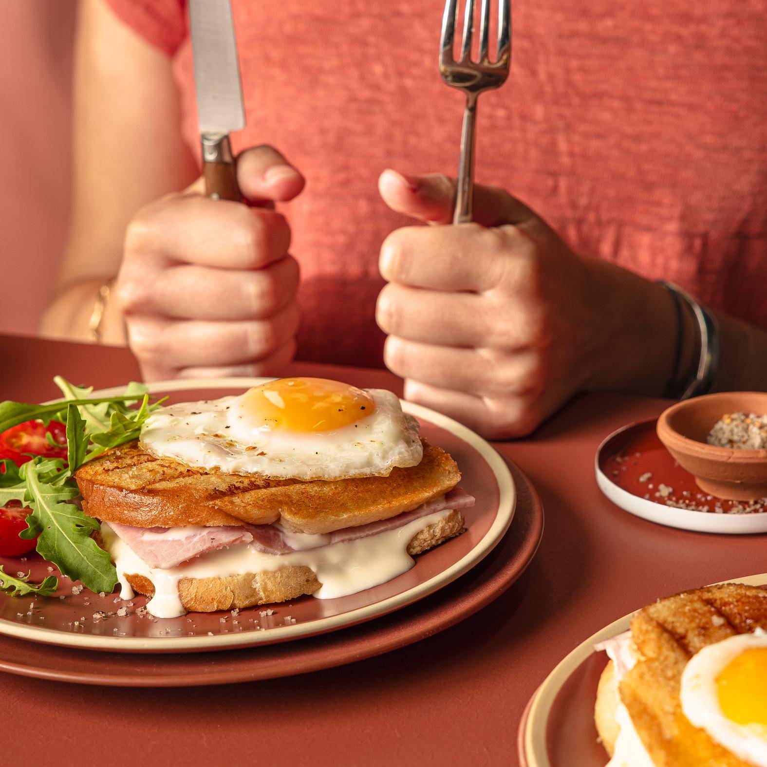 Französisches Toastbrot „Croque-Madame“ - Rezepte Snack Collection MECHANICAL | Tefal